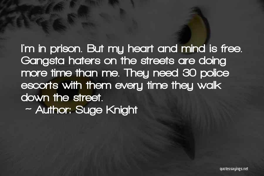 Them Haters Quotes By Suge Knight
