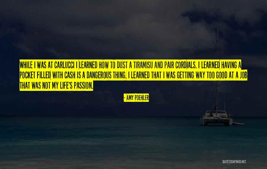 Themadeseries Quotes By Amy Poehler Themadeseries Quotes By Amy Poehler