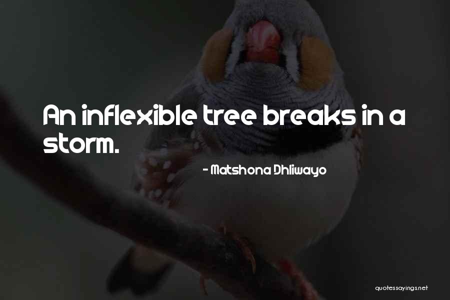Theme Of Innocence In To Kill A Mockingbird Quotes By Matshona Dhliwayo Theme Of Innocence In To Kill A Mockingbird Quotes By Matshona Dhliwayo