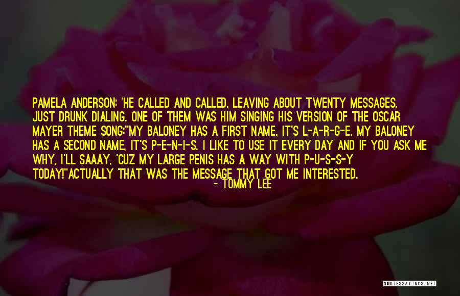 Theme Song Quotes By Tommy Lee Theme Song Quotes By Tommy Lee