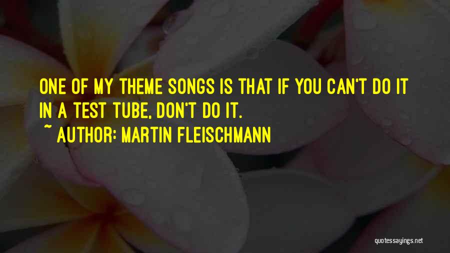 Theme Songs Quotes By Martin Fleischmann