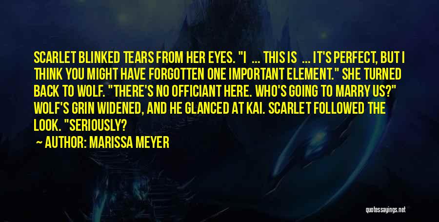 Themelis Law Quotes By Marissa Meyer