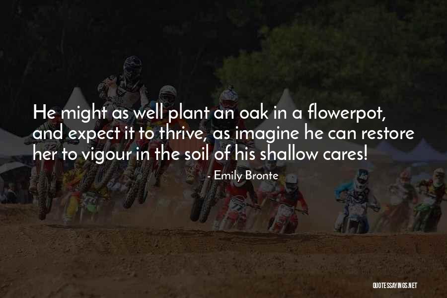 Themindofjoe Quotes By Emily Bronte Themindofjoe Quotes By Emily Bronte