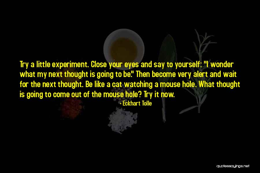 Then Close Your Eyes Quotes By Eckhart Tolle Then Close Your Eyes Quotes By Eckhart Tolle