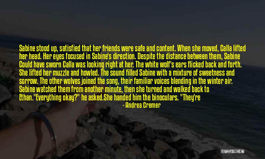 Then She Was Happy Quotes By Andrea Cremer Then She Was Happy Quotes By Andrea Cremer