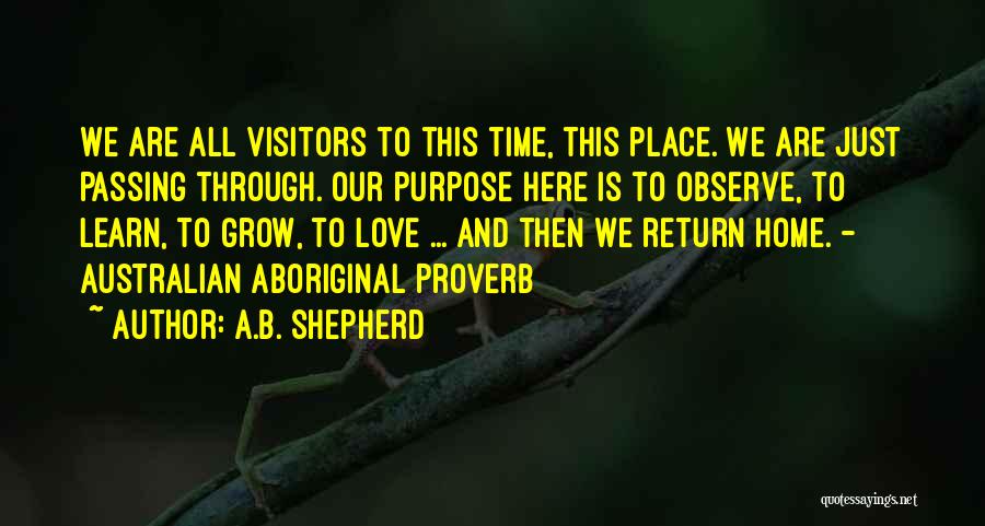 Then We Return Home Quotes By A.B. Shepherd