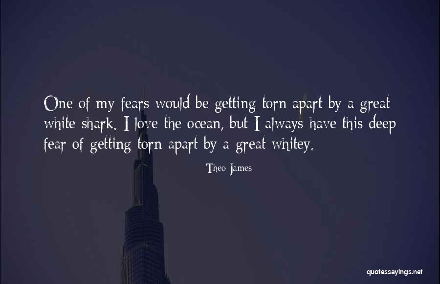 Theo James Quotes 1485983 Theo James Quotes 1485983