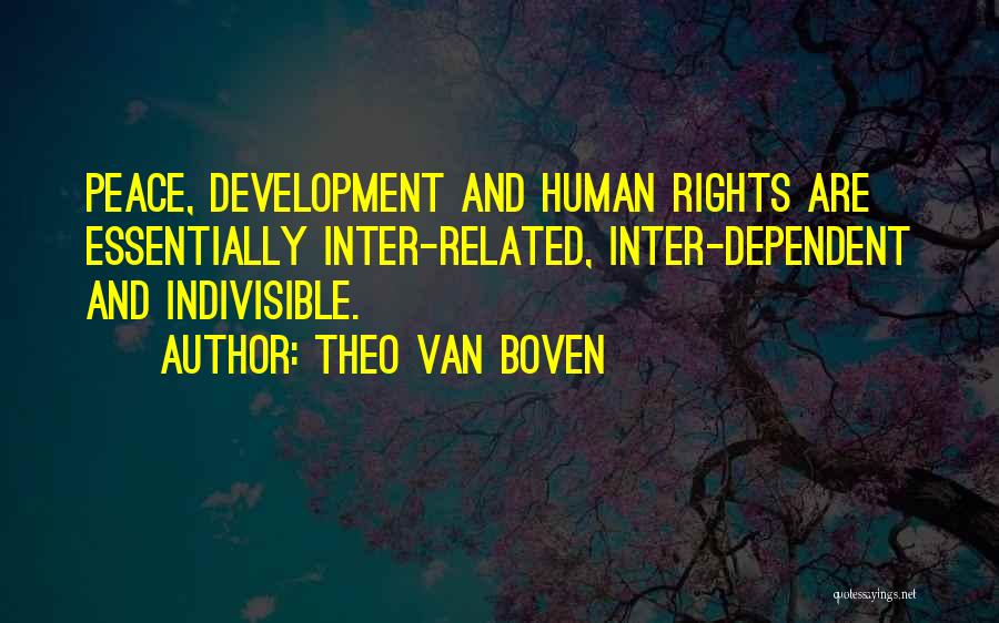 Theo Van Boven Quotes 1978433