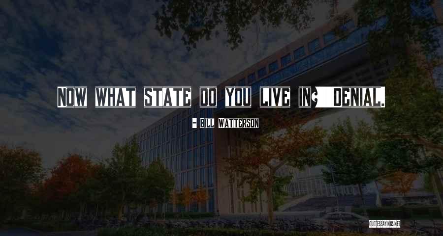 Theocharis Real Estates Quotes By Bill Watterson Theocharis Real Estates Quotes By Bill Watterson