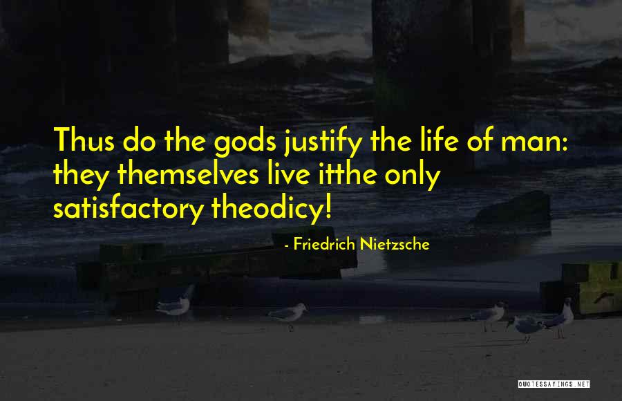 Theodicy Quotes By Friedrich Nietzsche