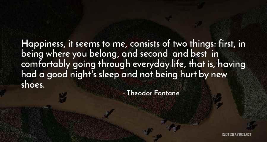 Theodor Fontane Quotes 1376416