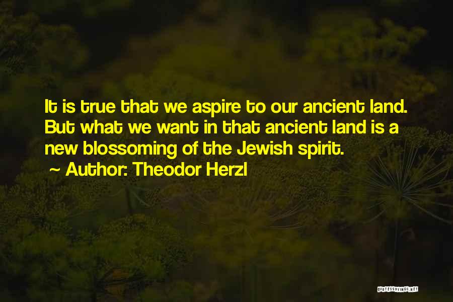 Theodor Herzl Quotes 1943709