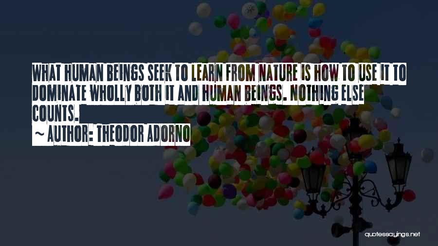 Theodor Quotes By Theodor Adorno