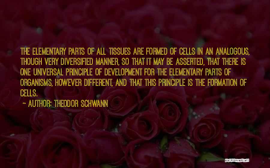 Theodor Schwann Quotes 946601