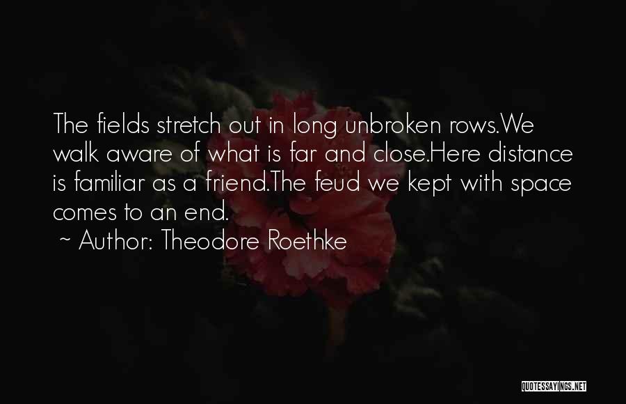 Theodore Roethke Quotes 1164378