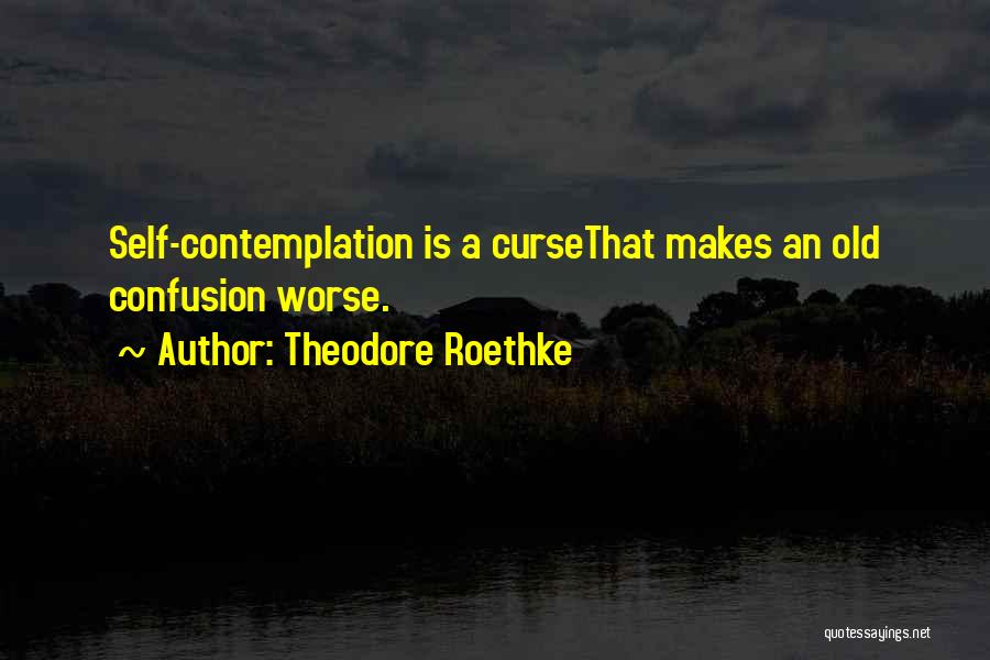 Theodore Roethke Quotes 1578339