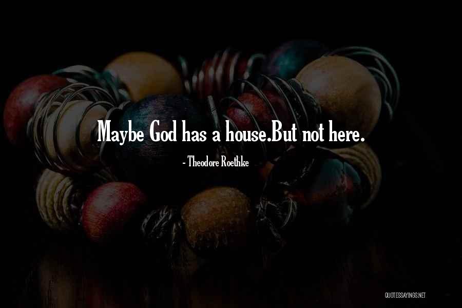 Theodore Roethke Quotes 1638678