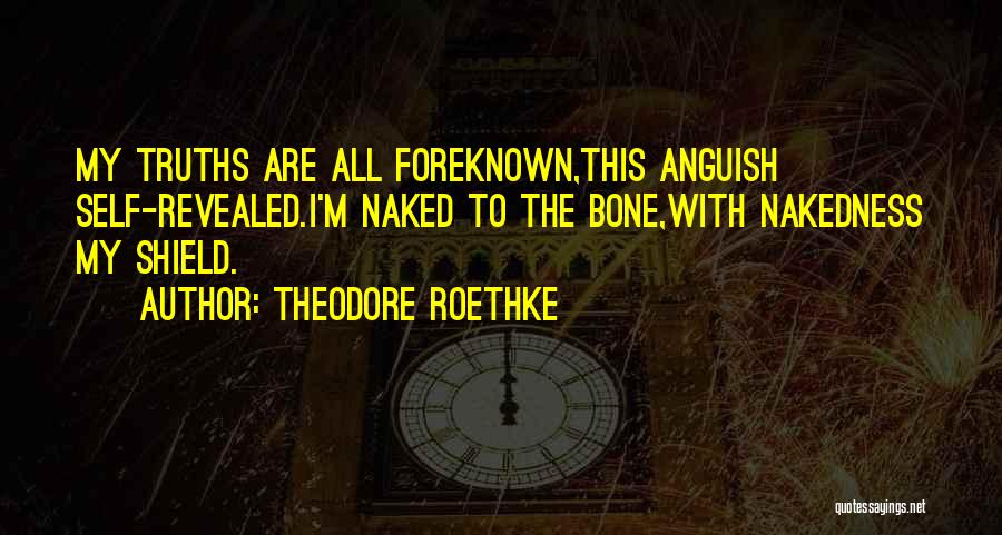 Theodore Roethke Quotes 1649951