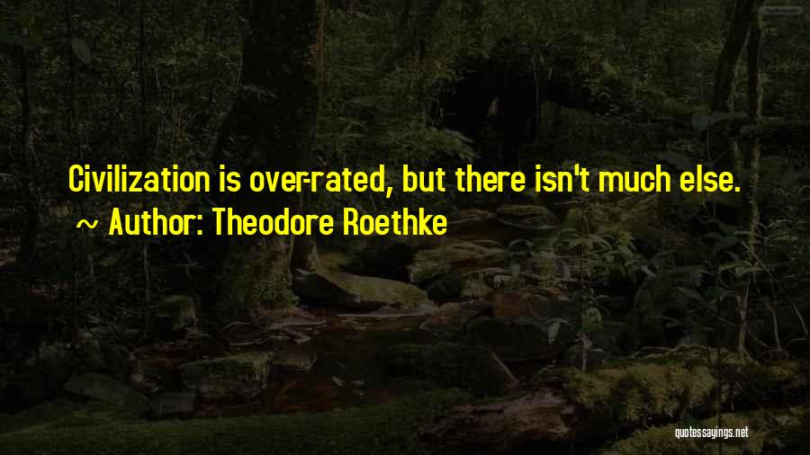 Theodore Roethke Quotes 878173