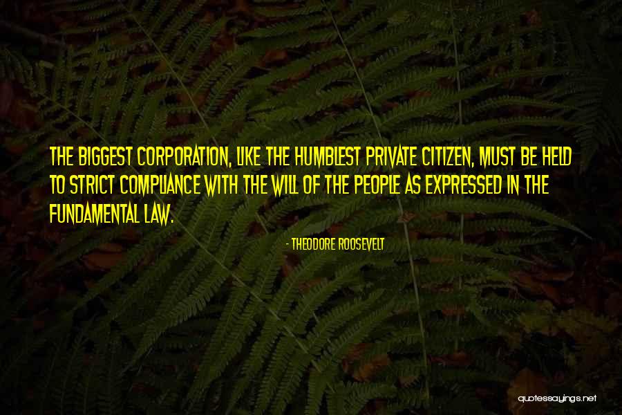 Theodore Roosevelt Corporation Quotes By Theodore Roosevelt Theodore Roosevelt Corporation Quotes By Theodore Roosevelt