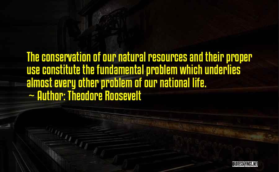 Theodore Roosevelt Natural Resources Quotes By Theodore Roosevelt