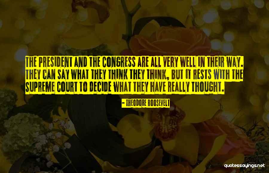 Theodore Roosevelt Quotes 1018024