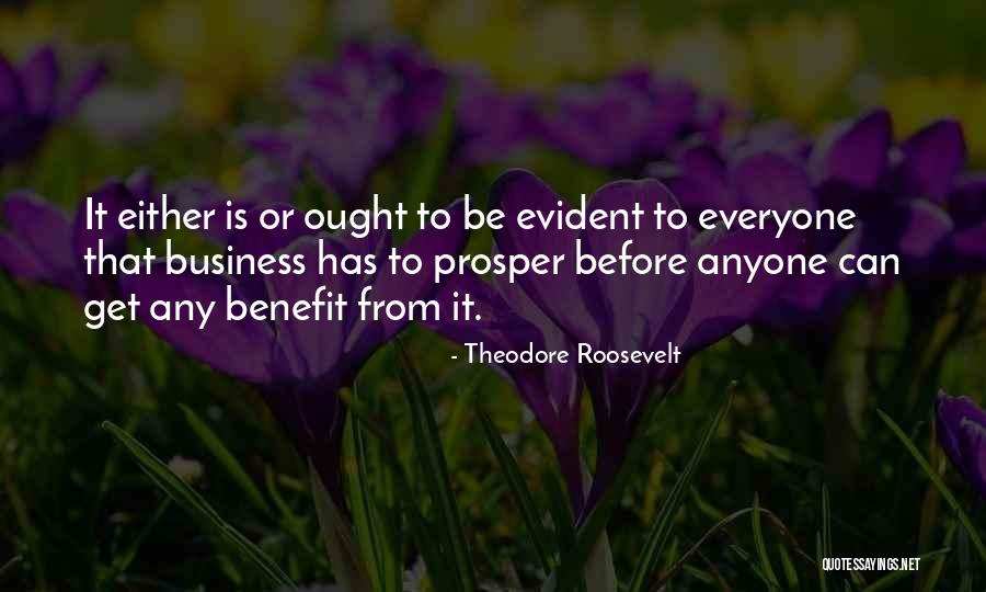 Theodore Roosevelt Quotes 1037449