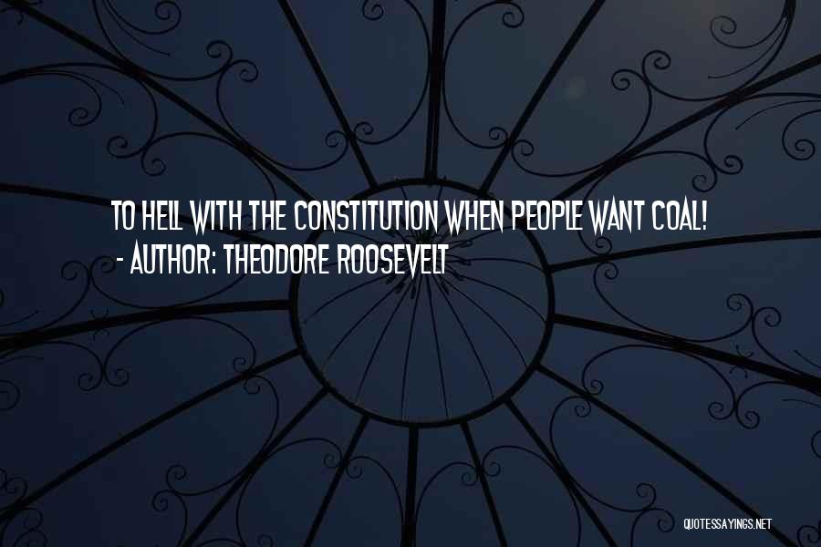 Theodore Roosevelt Quotes 119175