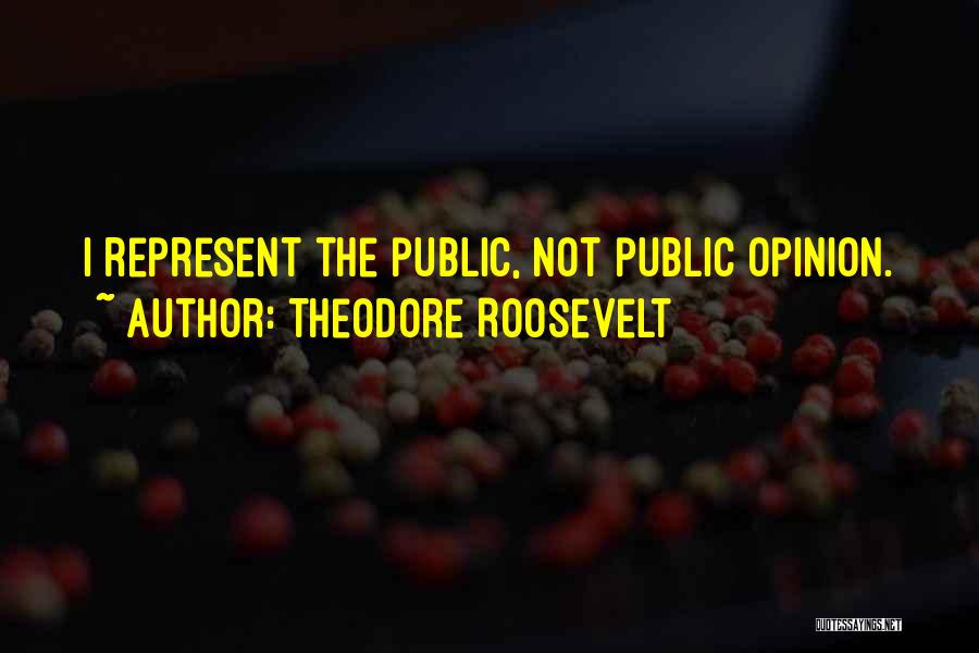 Theodore Roosevelt Quotes 120174
