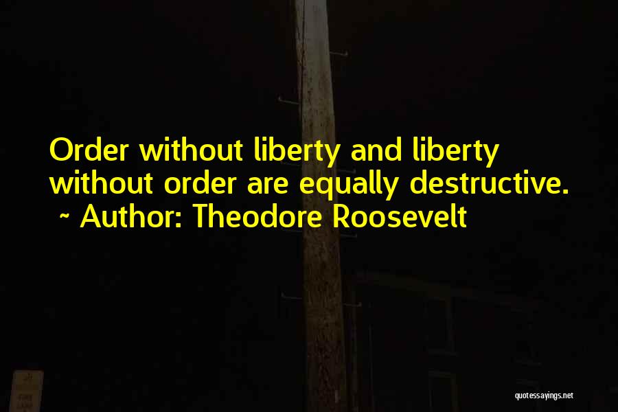 Theodore Roosevelt Quotes 123568
