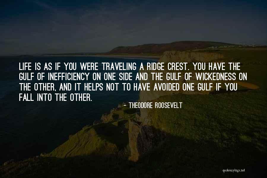 Theodore Roosevelt Quotes 1377639