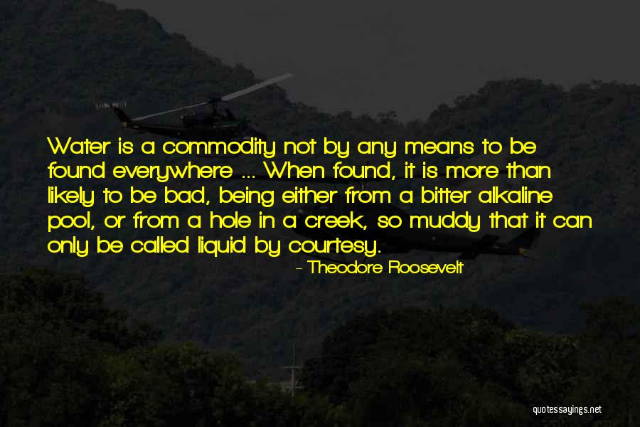 Theodore Roosevelt Quotes 153470