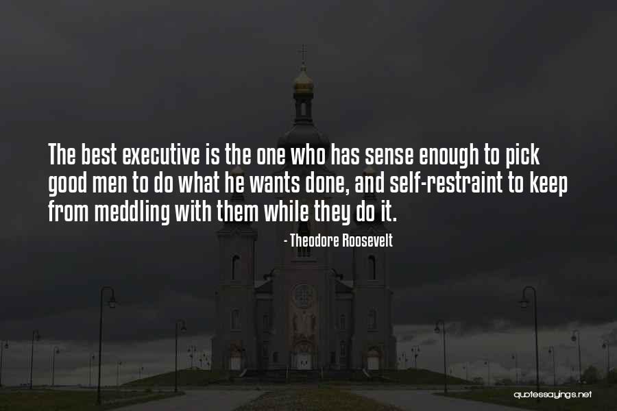 Theodore Roosevelt Quotes 1708777