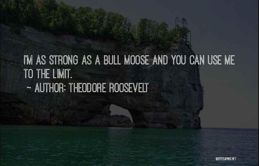 Theodore Roosevelt Quotes 175073