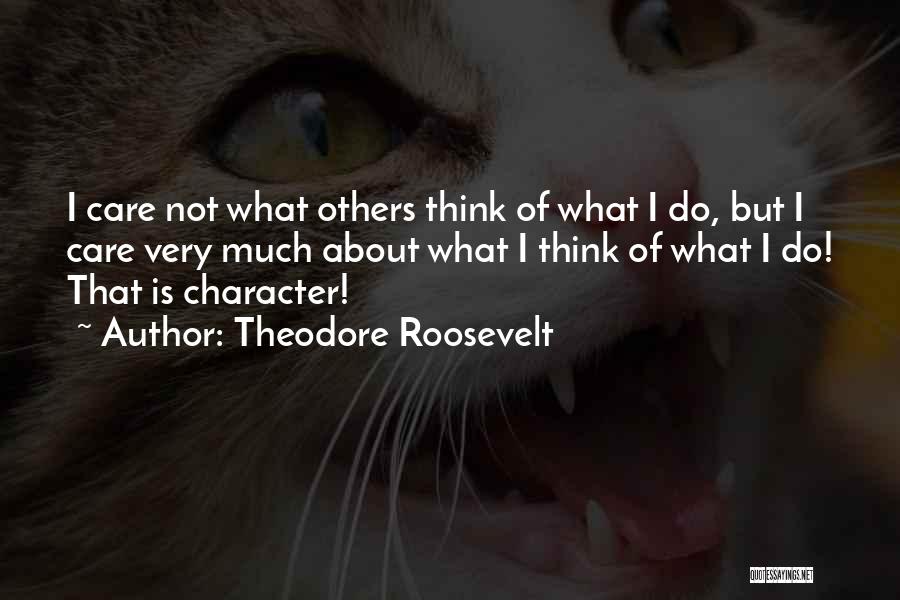 Theodore Roosevelt Quotes 1904095