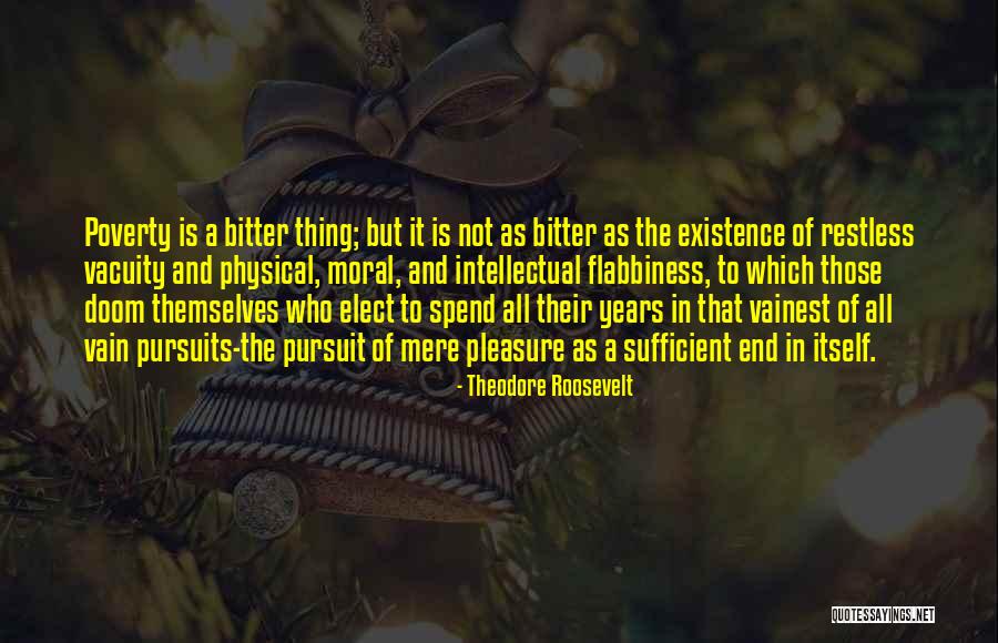 Theodore Roosevelt Quotes 1916240