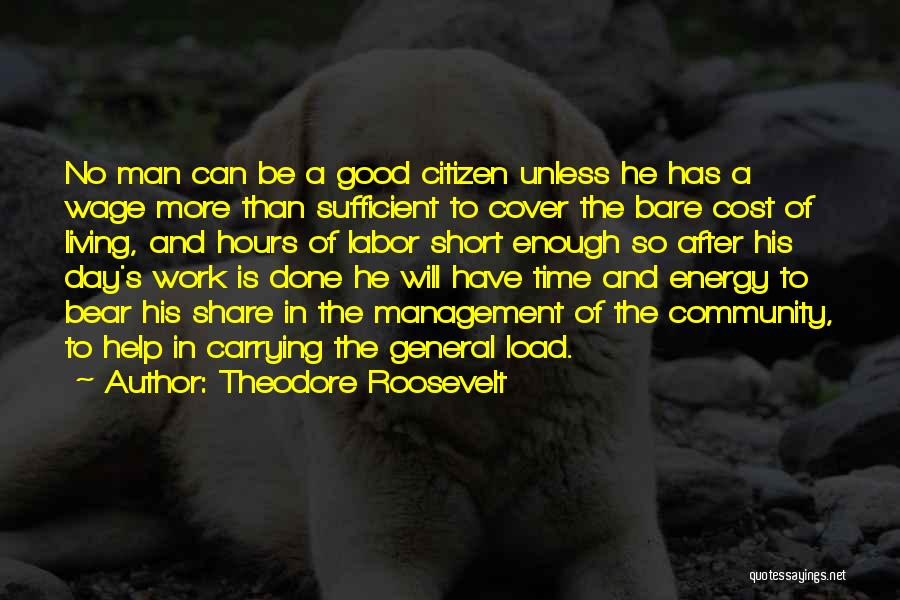 Theodore Roosevelt Quotes 2033628