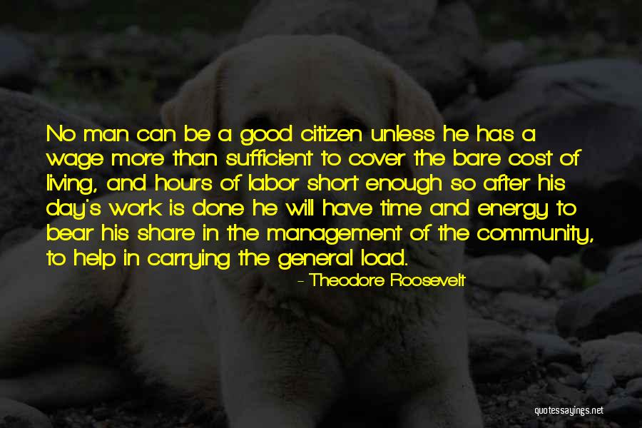 Theodore Roosevelt Quotes 2033628