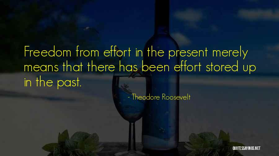 Theodore Roosevelt Quotes 228940