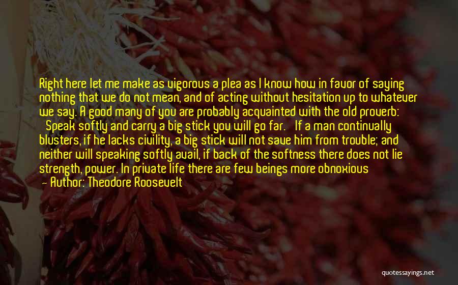 Theodore Roosevelt Quotes 528776