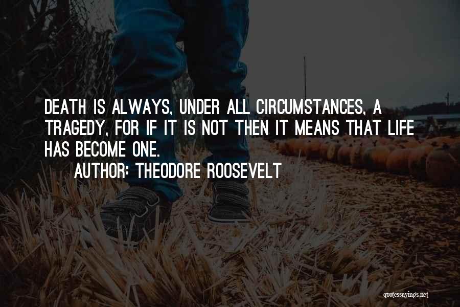Theodore Roosevelt Quotes 676785