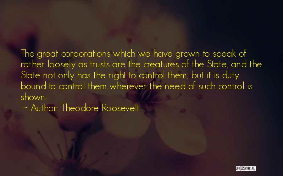 Theodore Roosevelt Quotes 807852