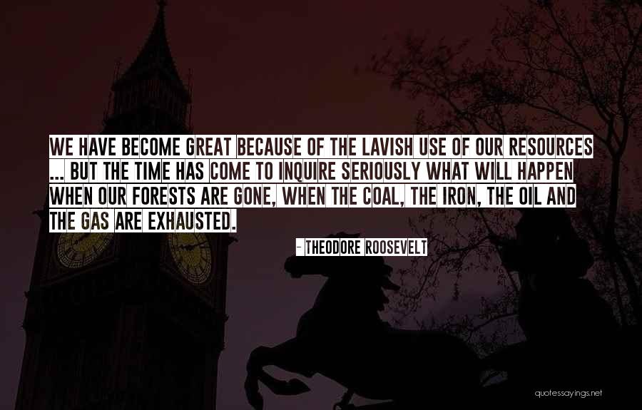 Theodore Roosevelt Quotes 827873