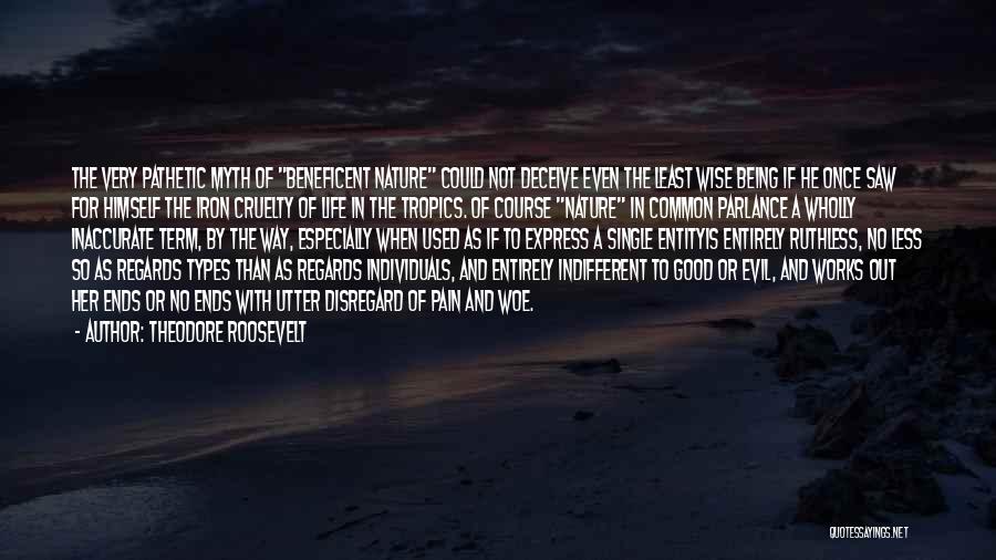 Theodore Roosevelt Quotes 901051