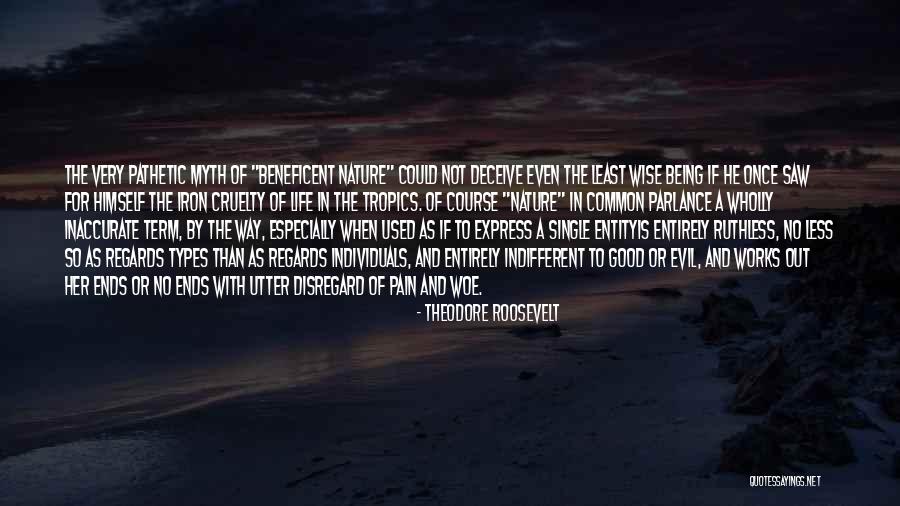 Theodore Roosevelt Quotes 901051