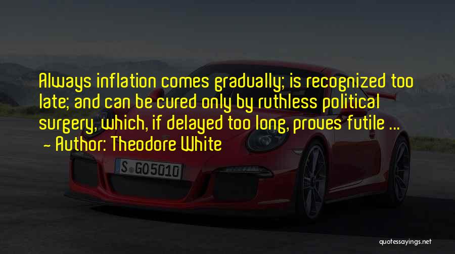Theodore White Quotes 1859915