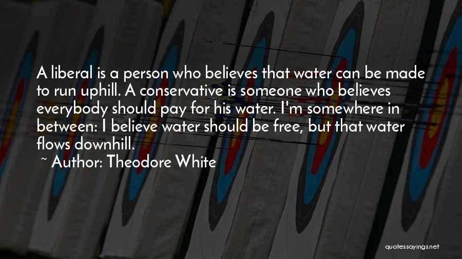 Theodore White Quotes 2117580