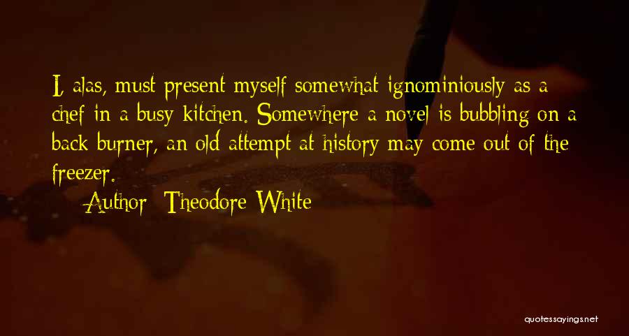Theodore White Quotes 2194257