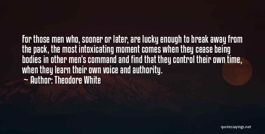 Theodore White Quotes 265372
