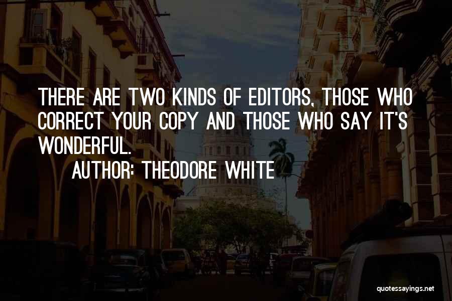 Theodore White Quotes 803566